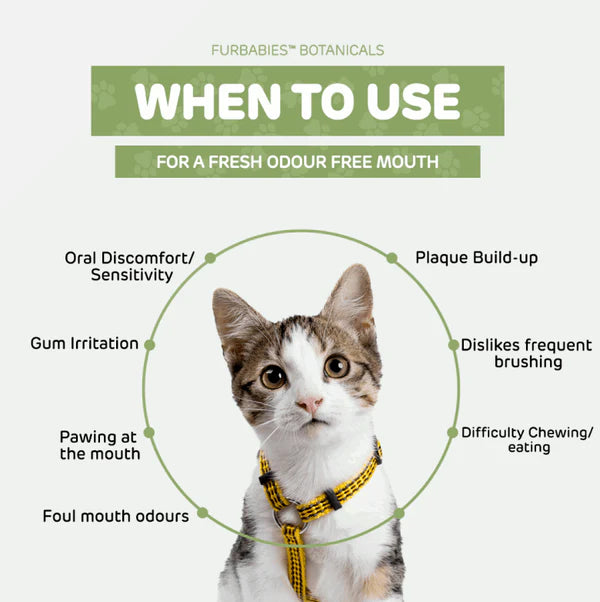 LIQUID ANTIOXIDANT CAT DOG TOOTHPASTE SPRAY FOR SMELLY BREATH & PLAQUE (30mls)