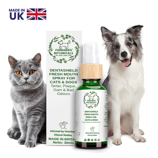 LIQUID ANTIOXIDANT CAT DOG TOOTHPASTE SPRAY FOR SMELLY BREATH & PLAQUE (30mls)