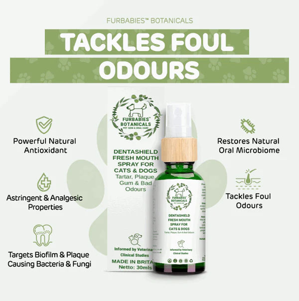 LIQUID ANTIOXIDANT CAT DOG TOOTHPASTE SPRAY FOR SMELLY BREATH & PLAQUE (30mls)