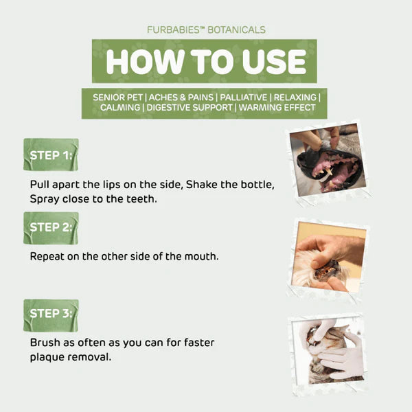 LIQUID ANTIOXIDANT CAT DOG TOOTHPASTE SPRAY FOR SMELLY BREATH & PLAQUE (30mls)