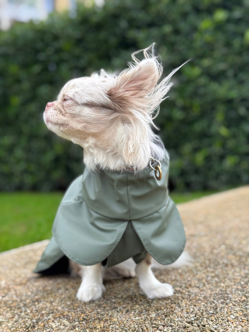 Raincoat Green
