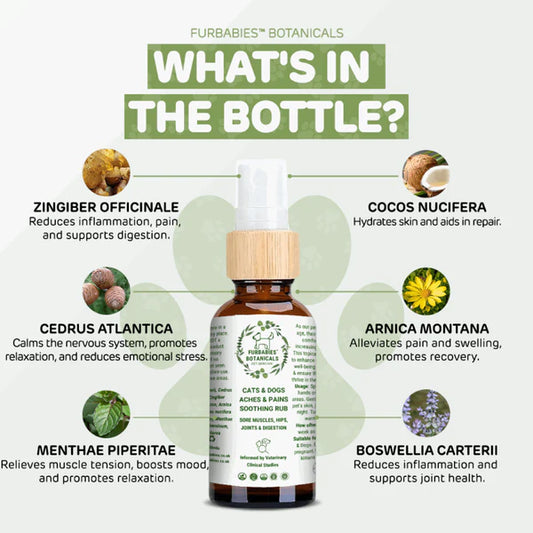 FAST-ACTING RUB FOR DOGS WITH JOINT ISSUES (50 ml)