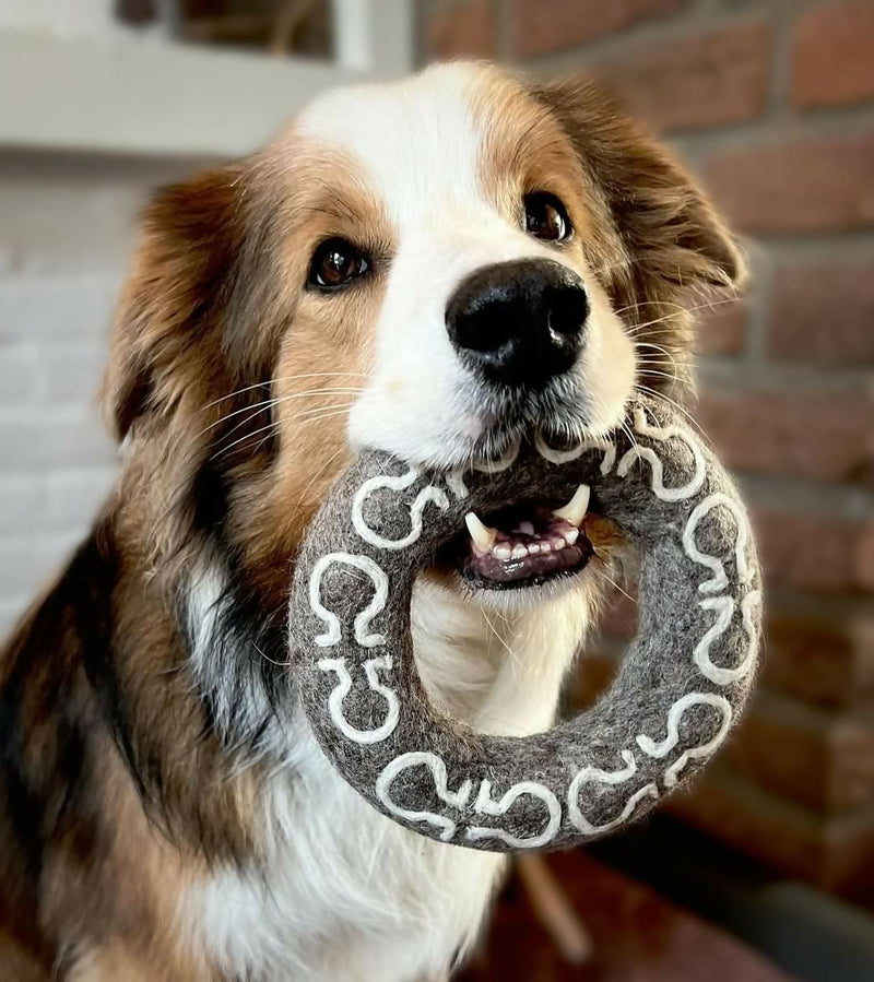 Wooliie_PetToys_DogToys_HandmadeWoolDogToys-AlchemyLife&DeathRing1