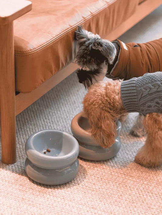 Soufflé Pet Bowl Frozen Blue 3