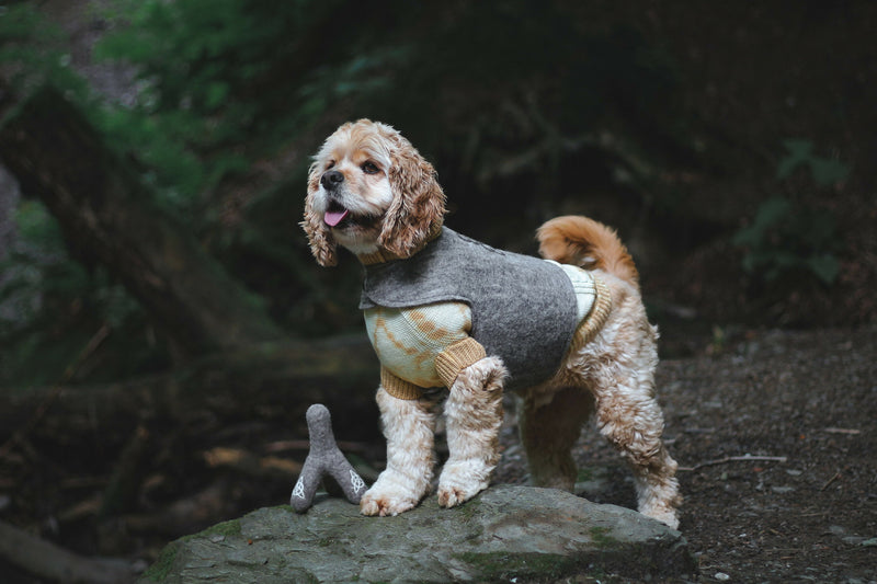 Wooliie_PetClothing_Vest_FaithfulHandmadeVirginWoolDogVest1