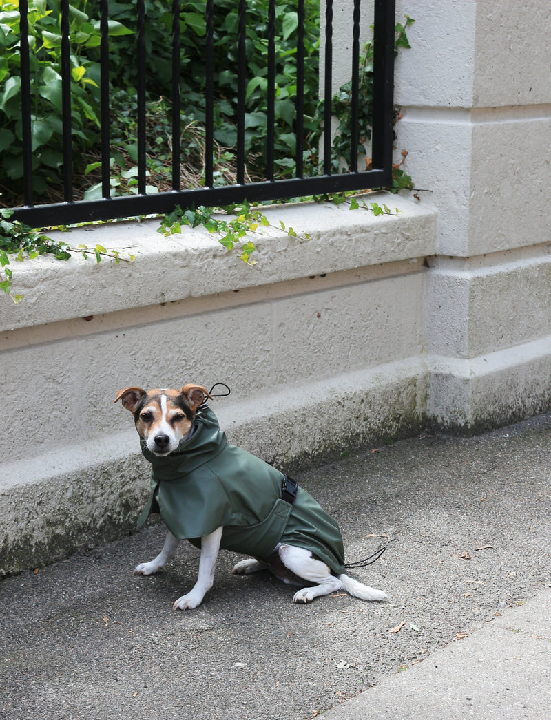 Raincoat Green