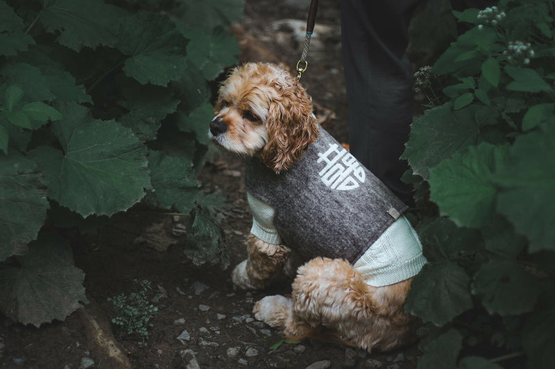Wooliie_PetClothing_Vest_HappyHandmadeVirginWoolDogVest1