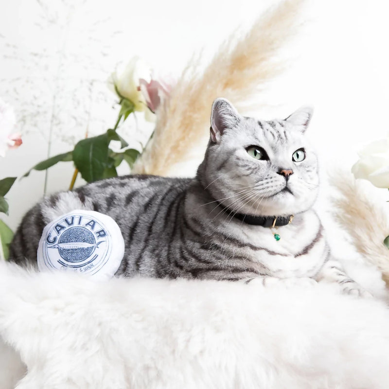 Cheshire & Wain Caviar Catnip Toy
