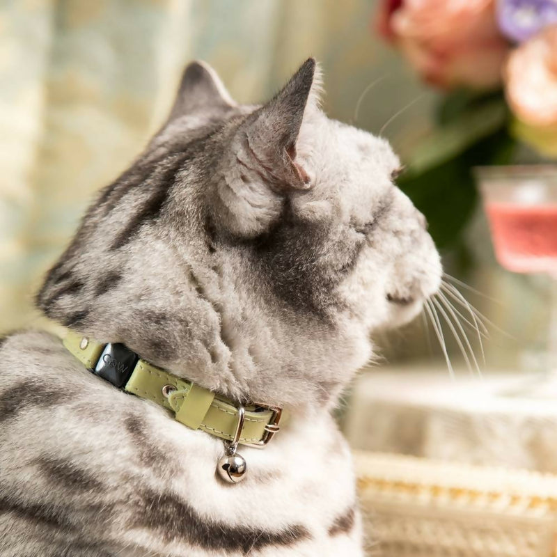 Cheshire_WainLuxuryCatCollars-RococoPistachioGreenwithBellAccessoryandSafetyCatch