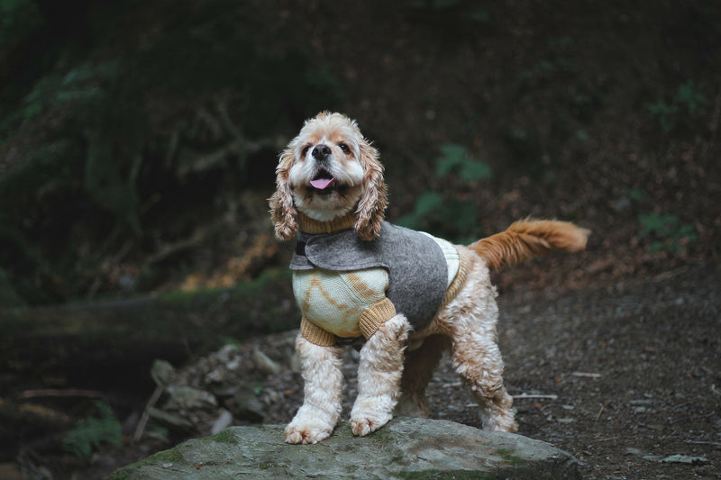 Wooliie_PetClothing_Vest_FaithfulHandmadeVirginWoolDogVest3