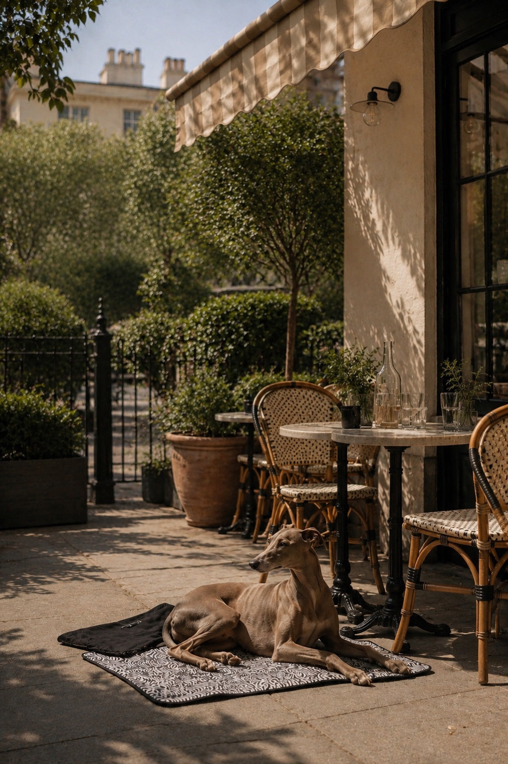 Where to Dine Al Fresco with Your Dog in London (Best Terraces 2026) – reva Where to Dine Al Fresco with Your Dog in London (Best Terraces 2026) – reva
