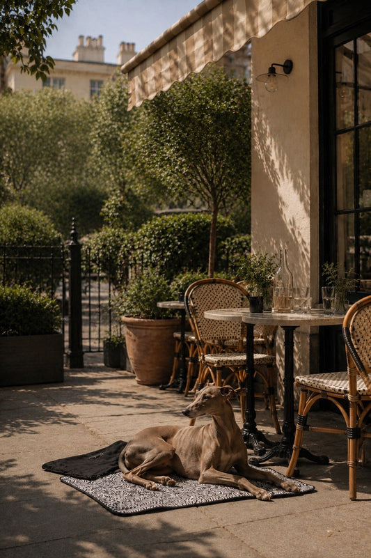 Where to dine al fresco with your dog in London (2026 edition)