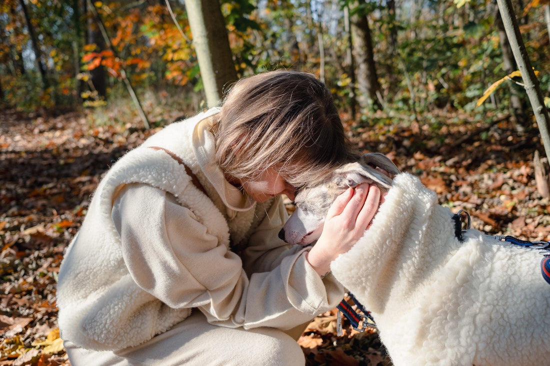 The Daily Pet Wellness Routine: A Simple Guide to Better Health, Behaviour & Happiness