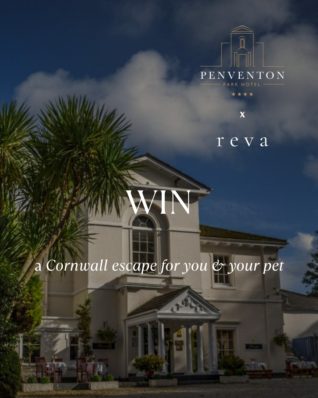 Win a Pet-Friendly Cornwall Escape