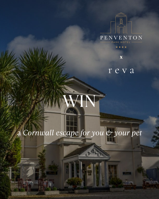 Win a Pet-Friendly Cornwall Escape | Dog & Cat Friendly Stay + £200 Reva Gift Card