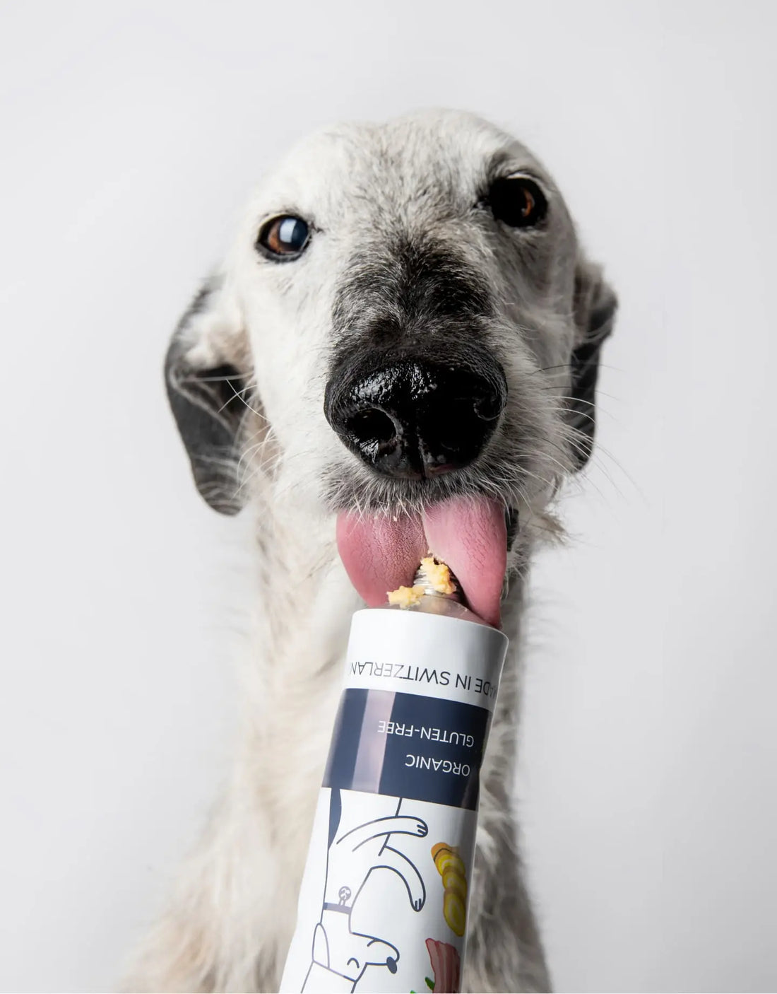 Introducing Loonawell: Swiss Dog Nutrition, Now Available in the UK