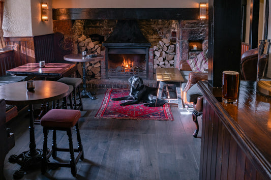 10 Cosy Dog-Friendly Pubs in London With Fireplaces