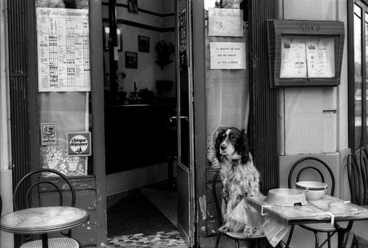 The Best Dog-Friendly Restaurants in London, Curated by Reva