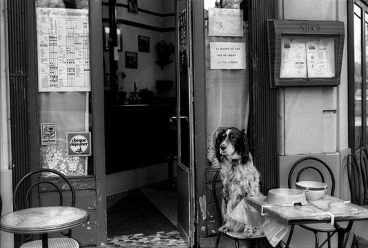 The Best Dog-Friendly Restaurants in London, Curated by Reva