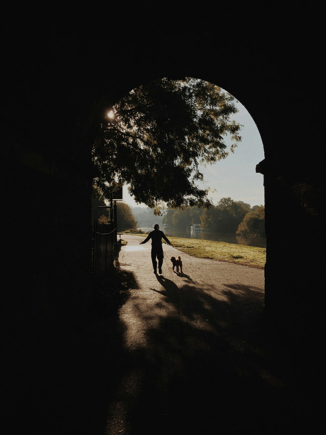 Top 10 Best Dog Walks in North & East London – Reva