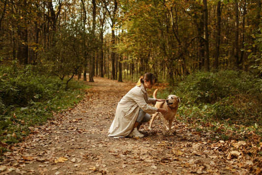 Top 5 Dog-Friendly Hikes Near London – Reva