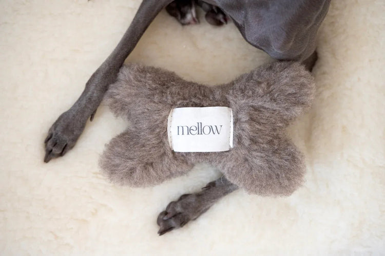 Mellow Concept Store