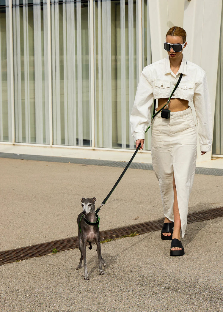 Walking Essentials
