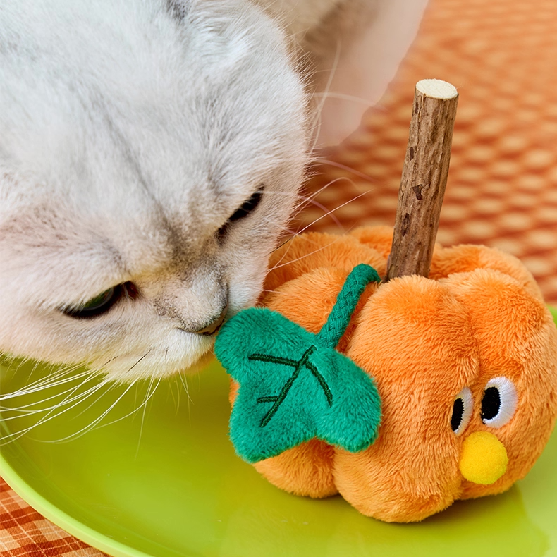 zeze Pumpkin Silvervine Cat Toy — Crinkly Plush Pumpkin with Chew Stick