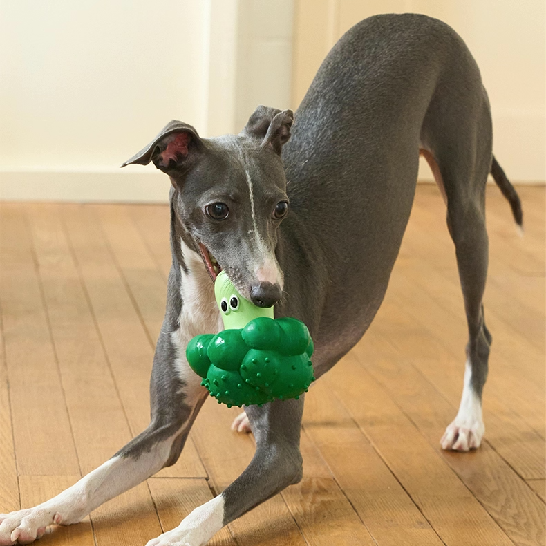 zeze Fruit & Veg Latex Squeaky Toy — Broccoli, Apple, Pear or Orange