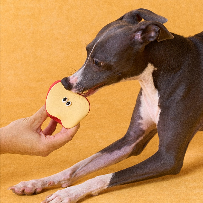 zeze Fruit & Veg Latex Squeaky Toy — Broccoli, Apple, Pear or Orange