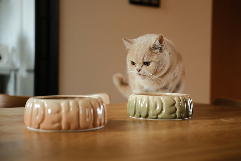 Puff Pet Bowl - Gradient Olive