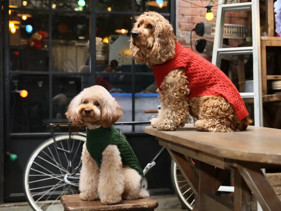 Pet Sweater Vest Green & Red