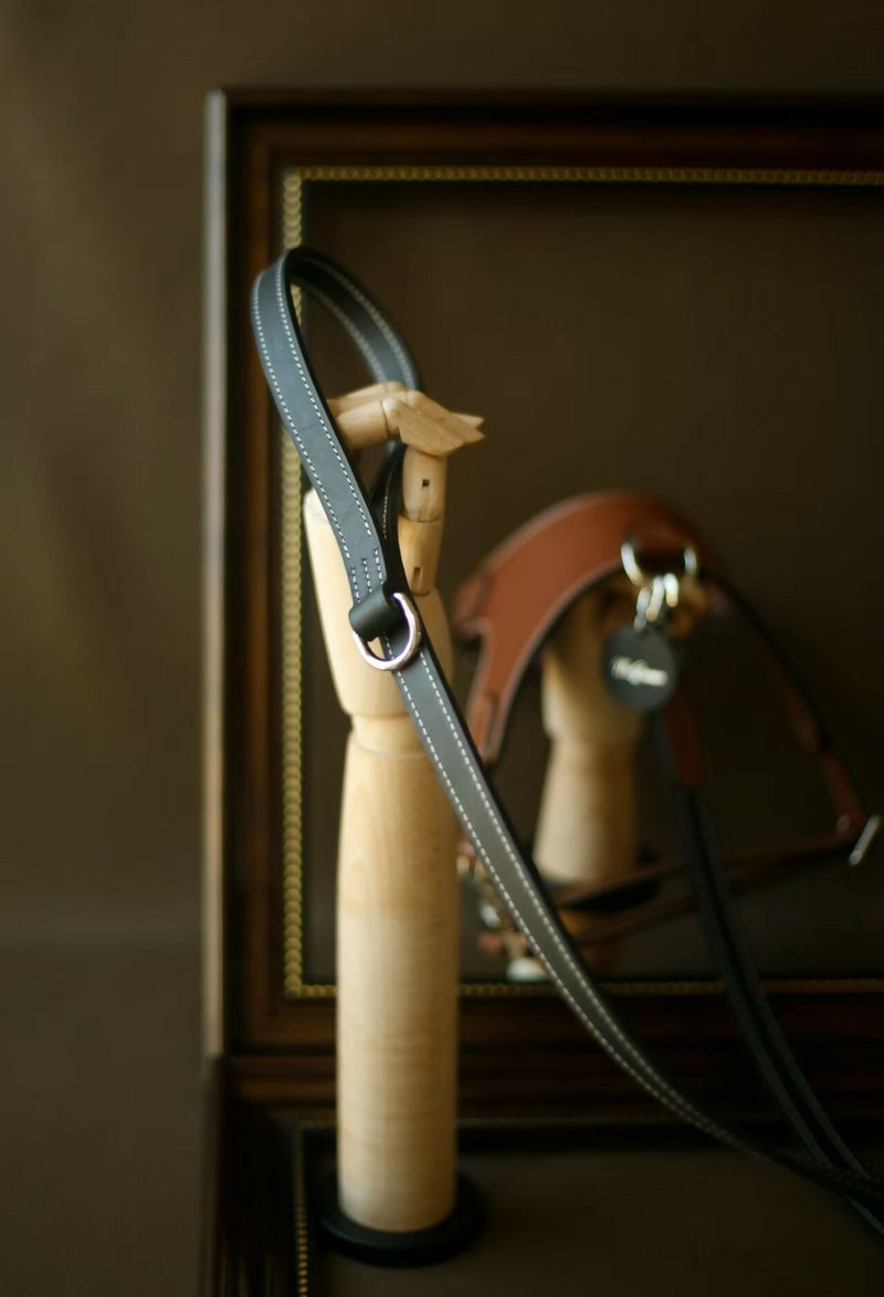 Multifunctional Two-Way Crossbody Leather Lead