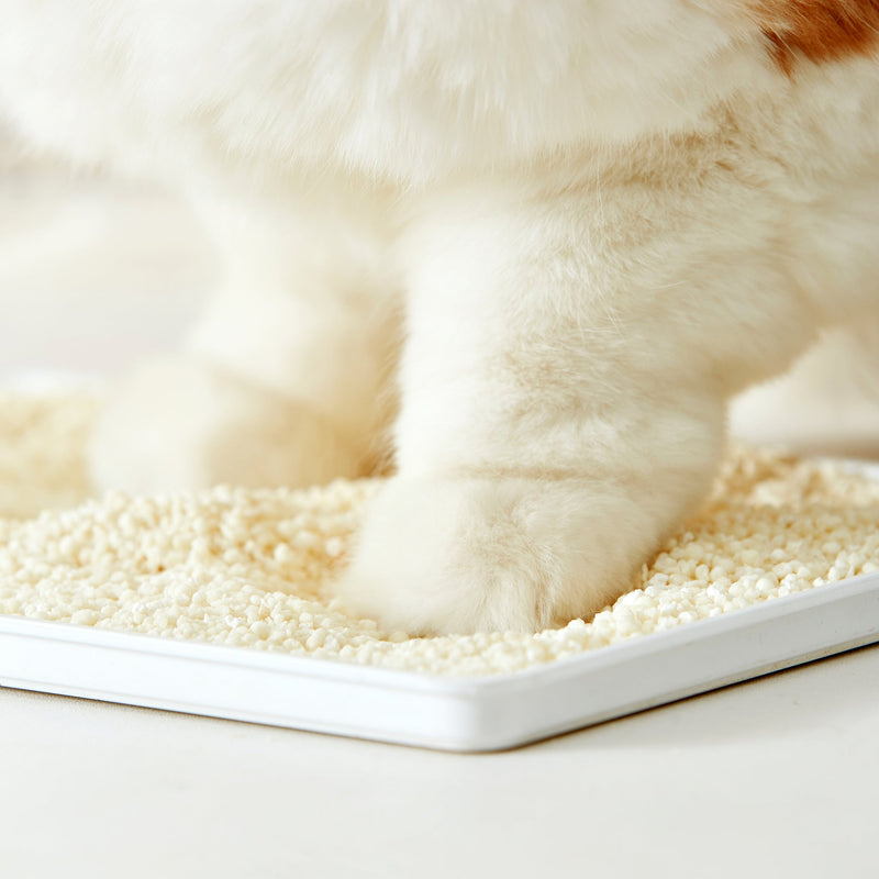Cassava Cat Litter