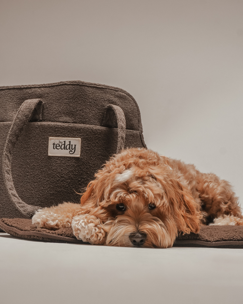 Chocolate┃The Bouclé Carrier