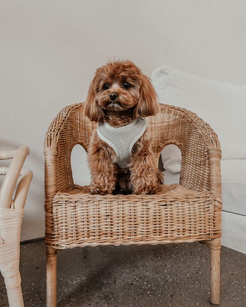 Matcha┃Bouclé Adjustable Harness