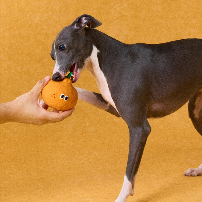 zeze Fruit & Veg Latex Squeaky Toy — Broccoli, Apple, Pear or Orange