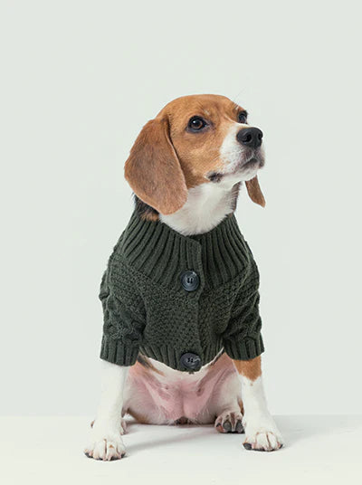 Bert Cardigan Sweater - Green