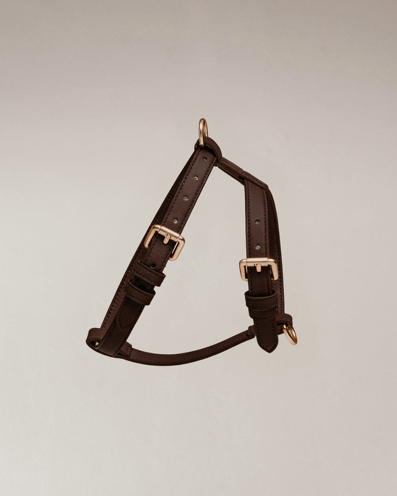 Chocolate┃Studio Step-In Harness