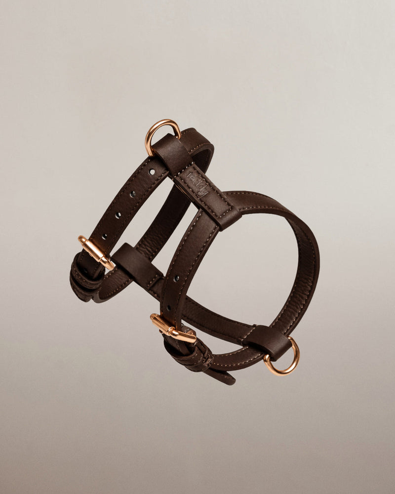 Chocolate┃Studio Step-In Harness