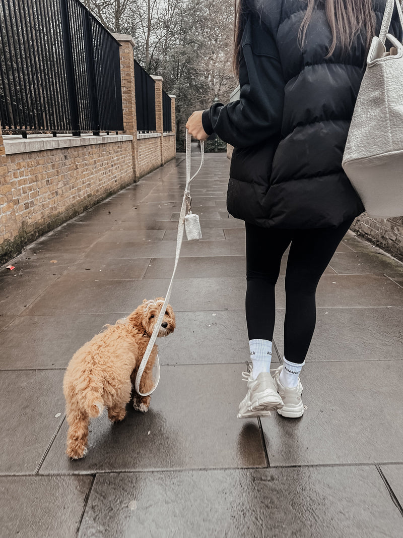 Marshmallow┃Bouclé Lead