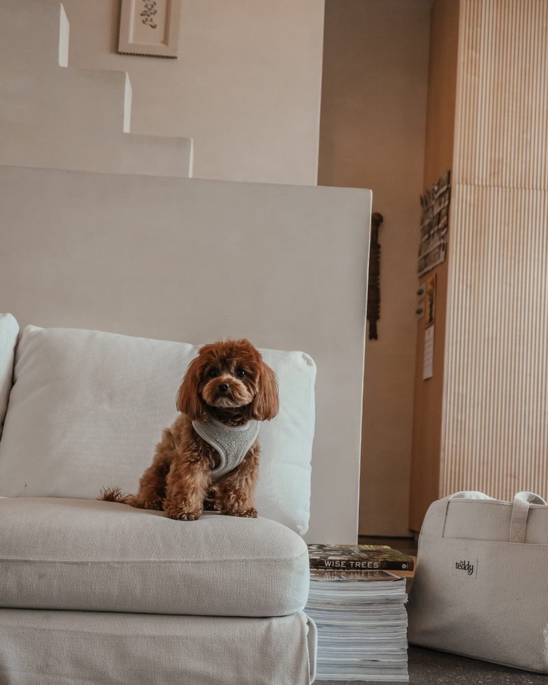 Matcha┃Bouclé Adjustable Harness