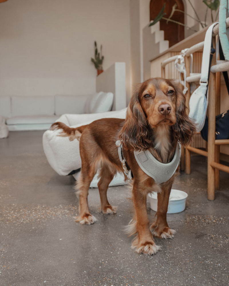 Matcha┃Bouclé Adjustable Harness