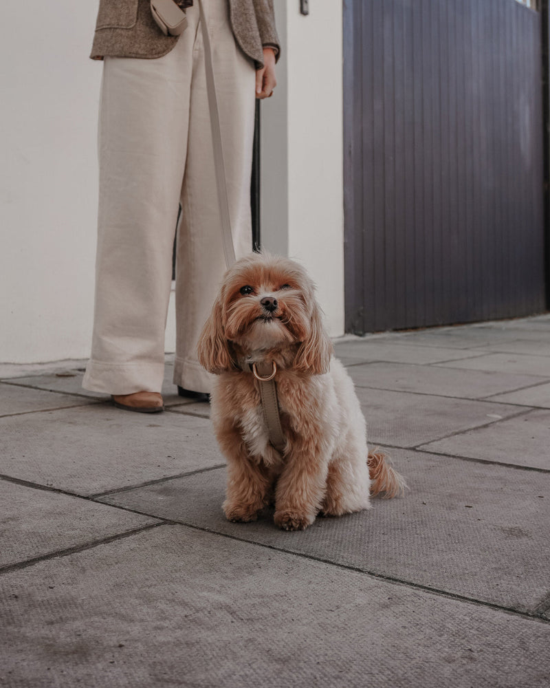 Hazelnut┃Studio Step-In Harness