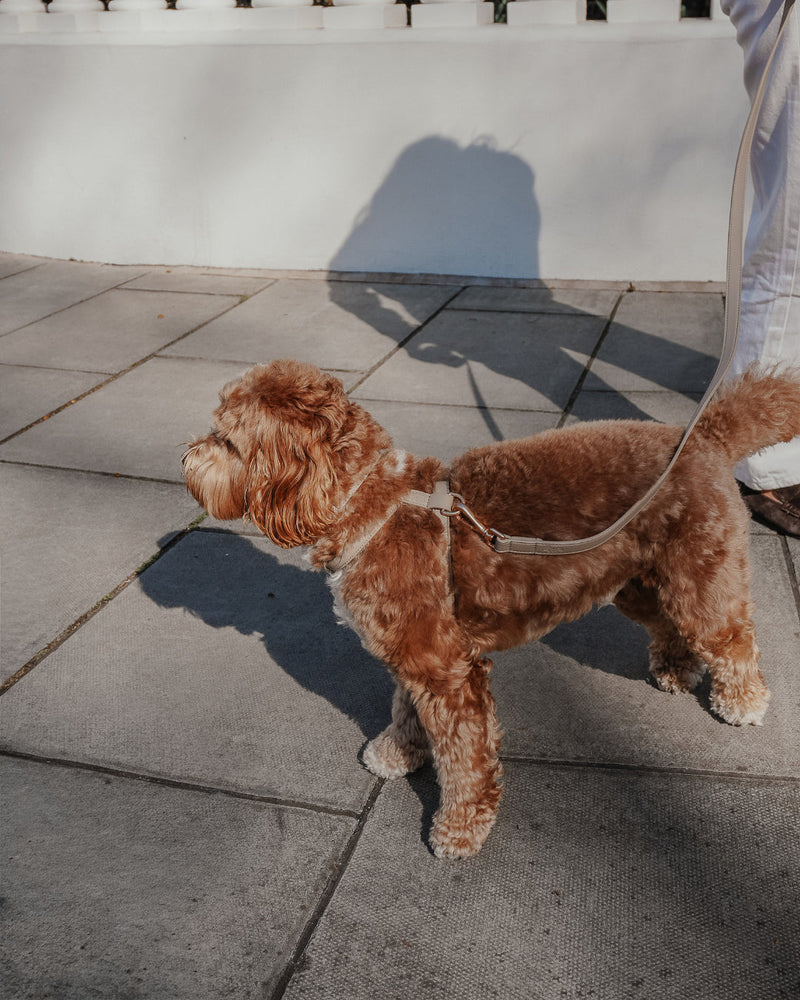 Hazelnut┃Studio Step-In Harness