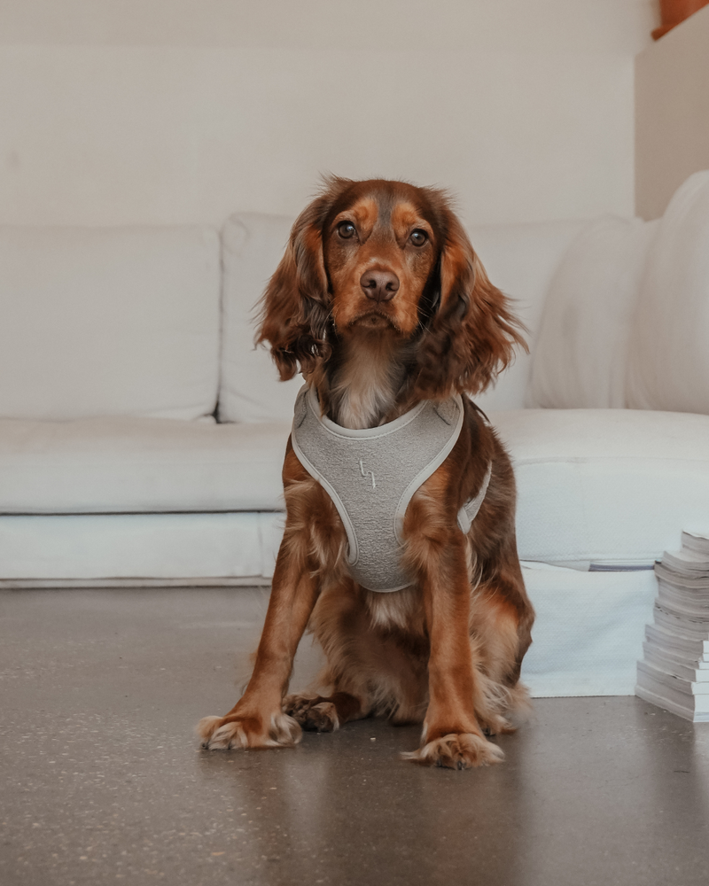 Matcha┃Bouclé Adjustable Harness