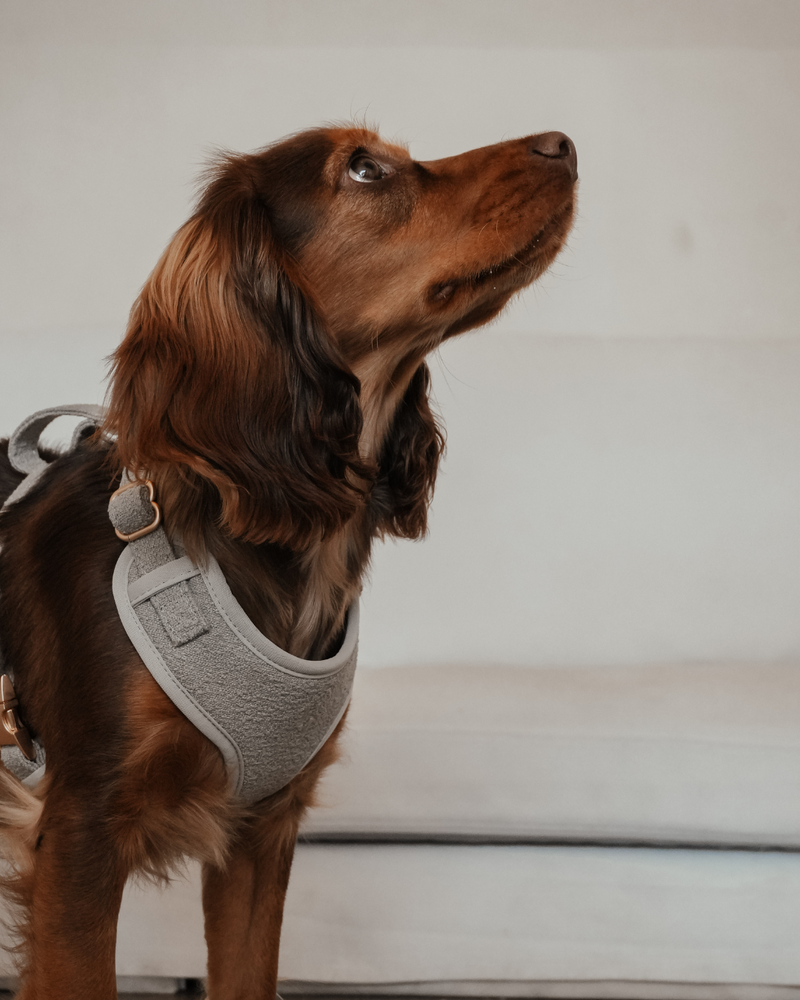 Matcha┃Bouclé Adjustable Harness