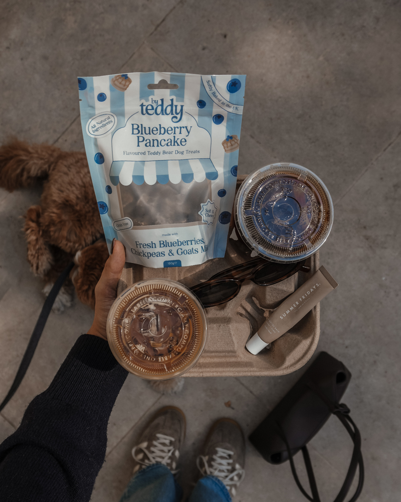 Blueberry Pancake Teddy Bear Soft Treats