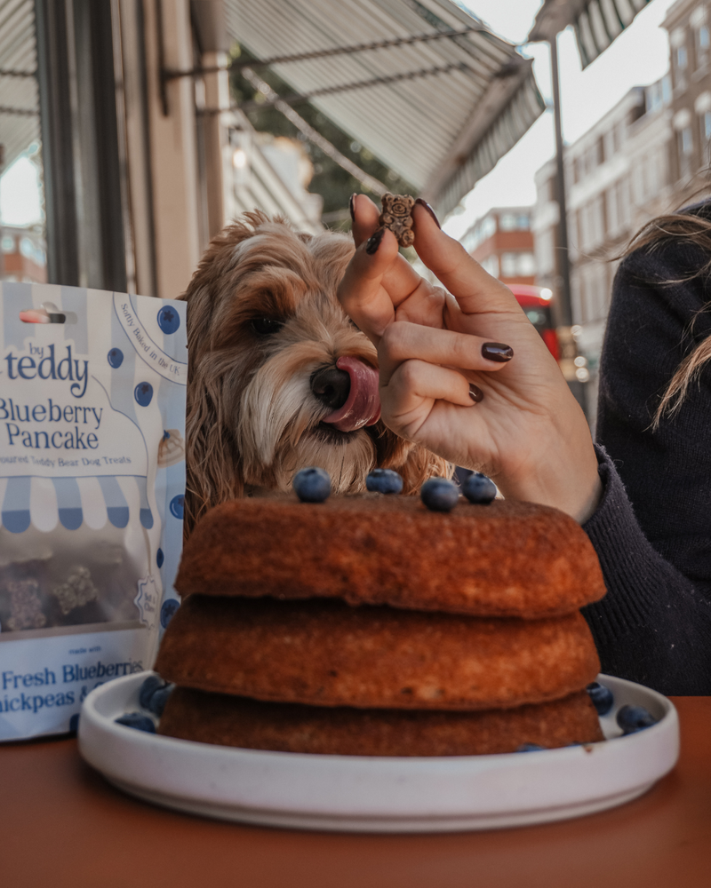 Blueberry Pancake Teddy Bear Soft Treats
