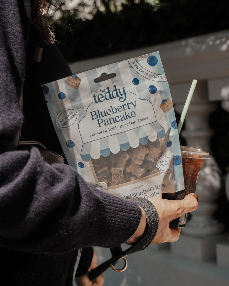 Blueberry Pancake Teddy Bear Soft Treats